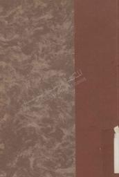 بغية المشتري وقنية المنتهي | القلصادي, علي بن محمد. 070