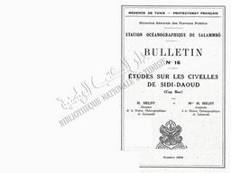 Etudes sur les civelles de Sidi-Daoud (Cap Bon) | Heldt, H