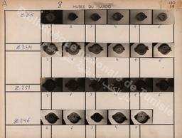 Musée du Bardo | Zili, Ridha. Pht