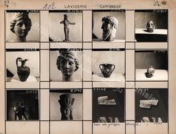 Lavigerie Carthage | Zili, Ridha. Pht